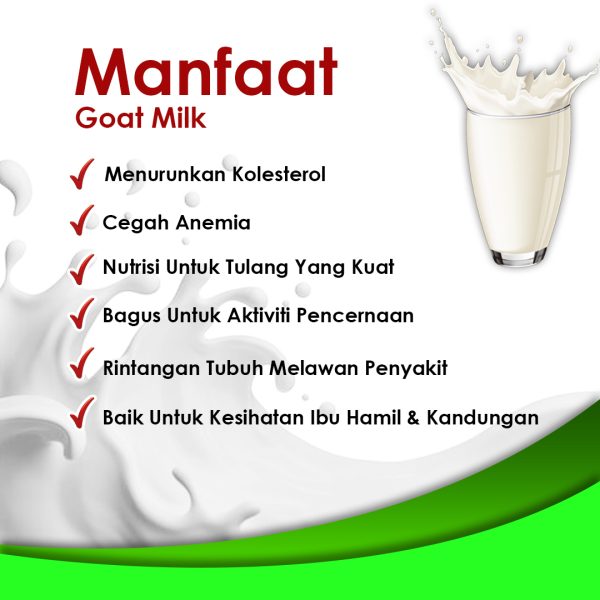 SUSU KAMBING - Image 3