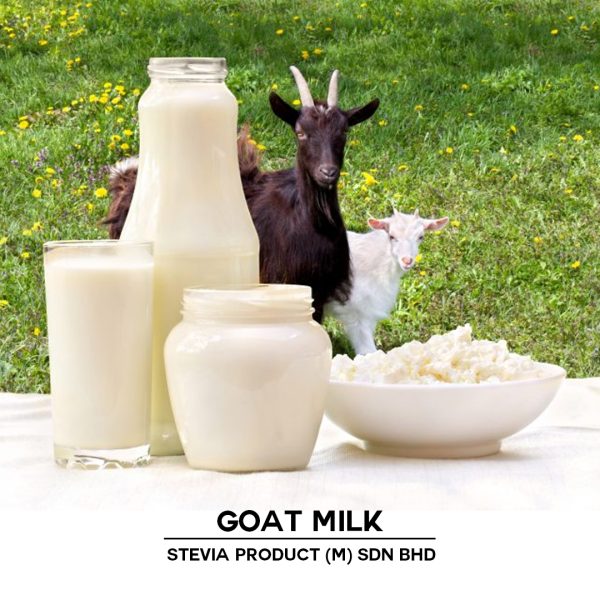 SUSU KAMBING - Image 4